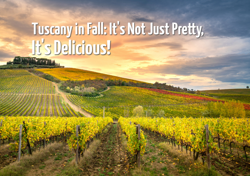 Tuscany in Fall: It’s Not Just Pretty, It’s Delicious!